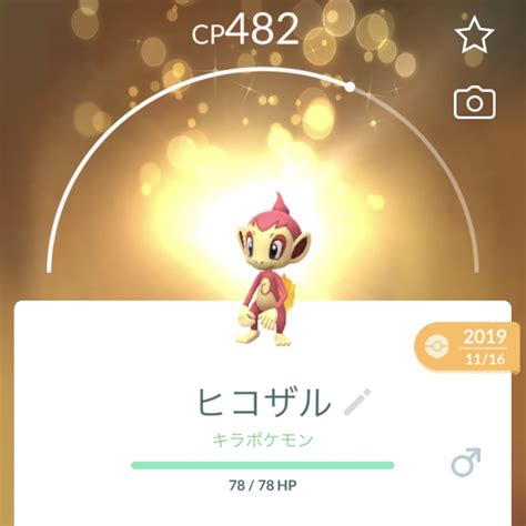 はちポケモンgo On Twitter 今日は近所でキラ交換😆 ヒコザル色違いを頂きましたー‼️☀️ ヒコザル、モウカザル、ゴウカザルの