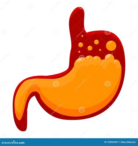 Stomach Vector