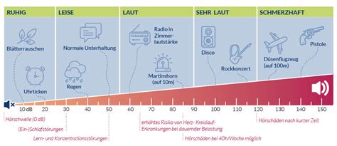 Wie Und Wo Sch Digt L Rm Das Geh R Scheinhardt De