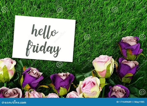 Hello Friday Card And Roses Flower With Space Copy Background Stock