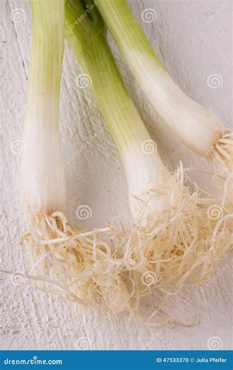 Bunch Of Fresh Leeks Or Scallions Stock Photo Image Of Copyspace