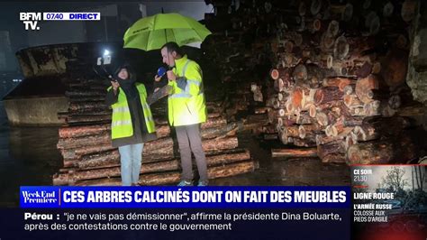 La seconde vie des bois calcinés par les incendies de l été dernier en