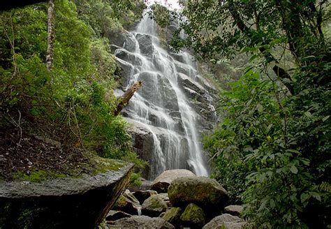 Parque Nacional Do Itatiaia Recebe Duas Atra Es In Ditas