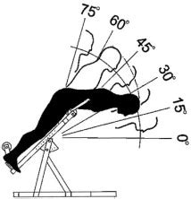 Electromyographic Activity Of The Trunk Extensor Muscles Effect Of