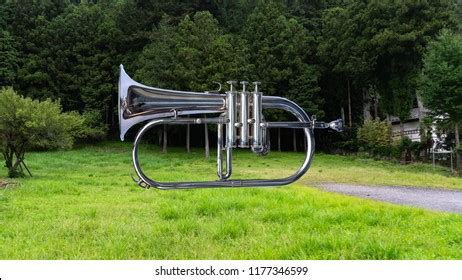 1,014 Flugelhorn Images, Stock Photos & Vectors | Shutterstock