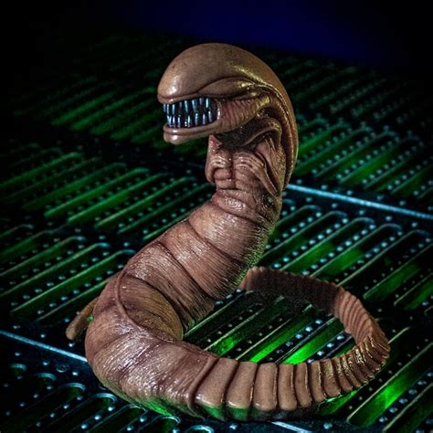 Alien Chestburster Prop Etsy Uk