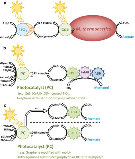 Hybrid Photosynthesis Using Photocatalyst A Photocatalyst Driven