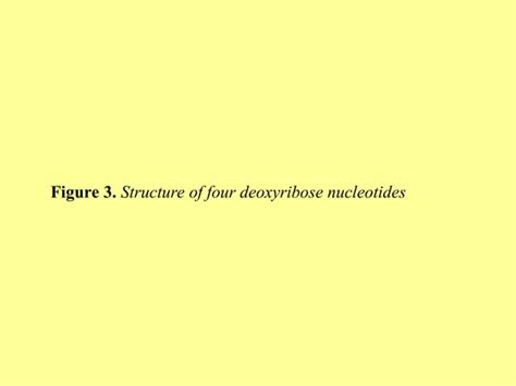 Chemistry Of Nucleic Acid And Classification Ppt