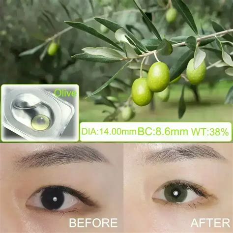 Olive Green Colored Contact Lenses Branclear Colored Contacts Official Wholesale