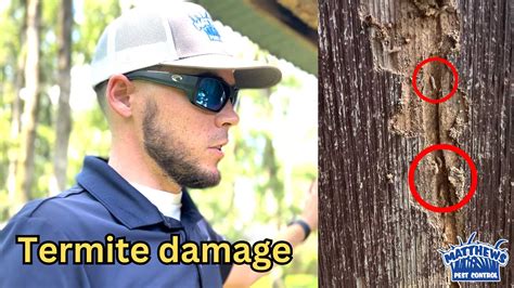 Why We Stress Termite Inspections Matthews Landscape Pest