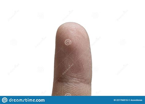 A Human Fingerprint Is Examined Under A Magnifying Glass Royalty Free