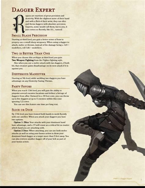 Dagger Expert Dungeons And Dragons 5e Dnd Races Dnd 5e Homebrew