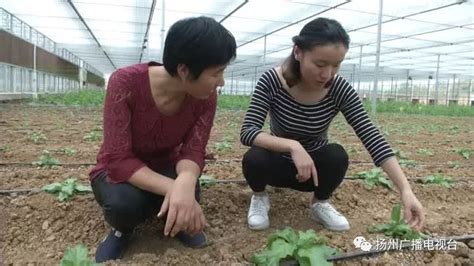 厉害！90后女孩有点“田”，她的“黑科技”获全国大赛金奖！蓉蓉