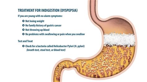 Does Gastritis Cause Weight Loss Everything You Need To Know About