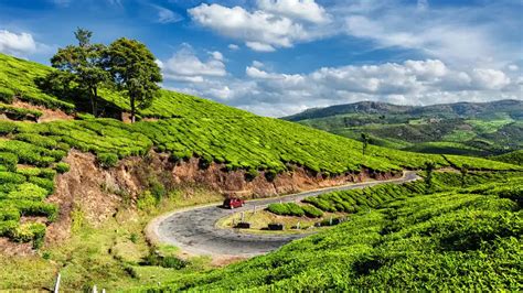 30 Best Honeymoon Places In Kerala For A Dazzling Escape