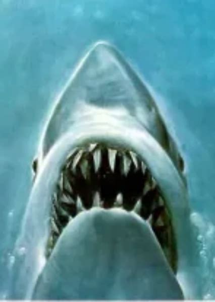 Bruce The Shark (Jaws) Fan Casting