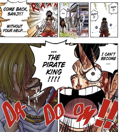 Questions & Mysteries - How far would Luffy have gone without Zoro ...