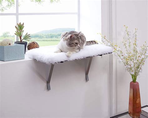 How To Build A Cat Window Box With These DIY Ideas