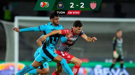 Pumas Vs Necaxa En Vivo Por El Clausura De Liga Mx Minuto A