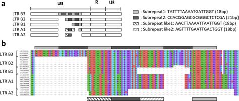 Structure For Detecting Non Reference Long Terminal Repeats Ltrs In