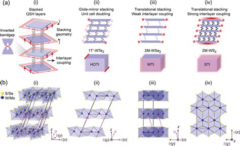 Transition Metal Dichalcogenides TMDs Built From Stacked Quantum Spin