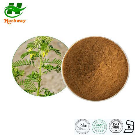 Herbway Plant Extract Kosher Halal Fssc Haccp Certified Free Sample