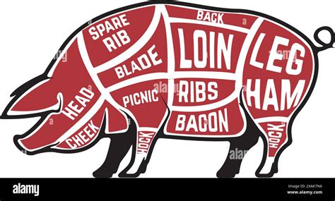 Butcher Diagram Scheme And Guide Pork Cuts Set Of Pig Silhouettes