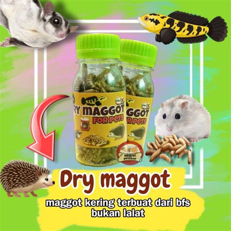 Jual Ulat Magot Kering Untuk Hamster Landak Mini Dan Sugar Glider