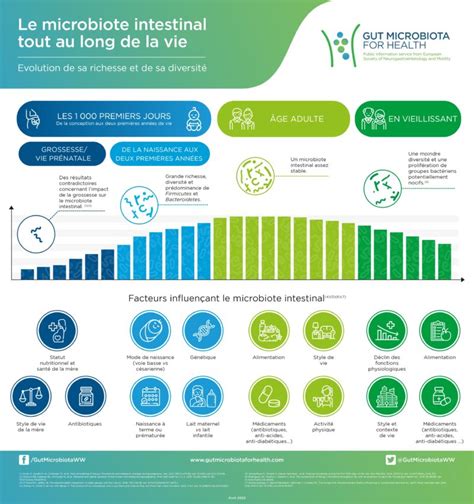 L Volution Du Microbiote Intestinal Au Cours De La Vie D Couvrir En