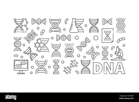 Vector Dna Horizontal Banner Deoxyribonucleic Acid Concept Linear Illustration Stock Vector