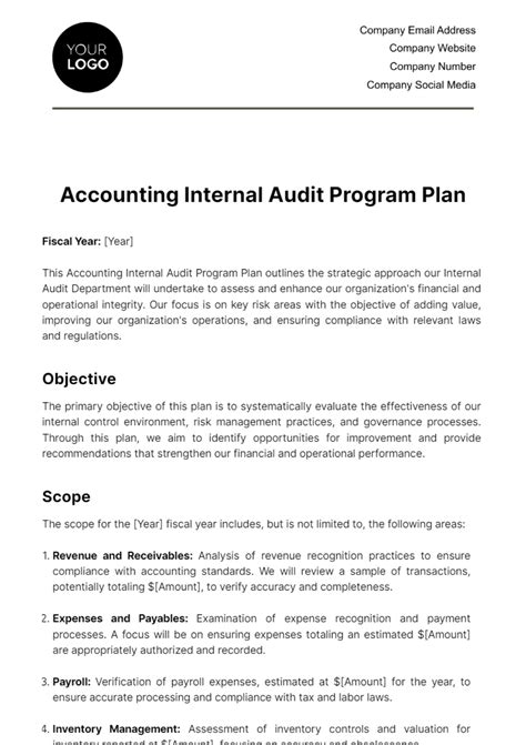 Free Accounting Internal Audit Program Plan Template Edit Online And Download