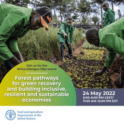 Fao Forestry On Twitter Join Us Online Tomorrow May For A