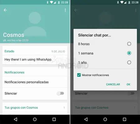 Qu Es Silenciar Las Notificaciones De Whatsapp Haras Dadinco