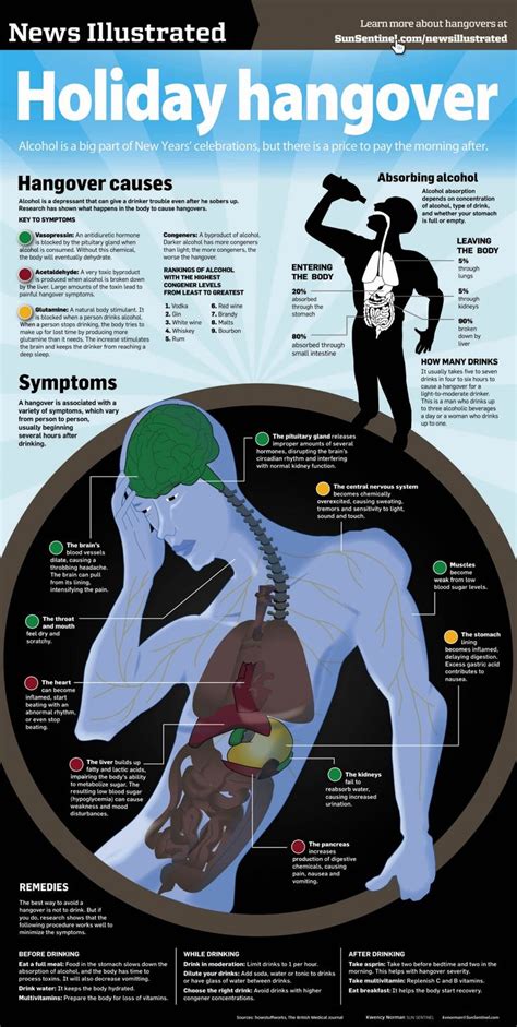 Graphs Infographics Hangover Cure Infographic Hangover