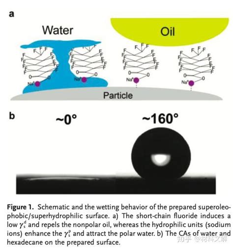 可控制油滴滚动和油水分离的超疏油亲水表面 知乎