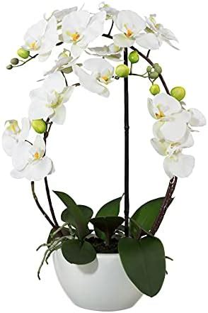 Amazon De Kunstpflanze Orchideen K Nstliche Deko Blumen Kunstblumen