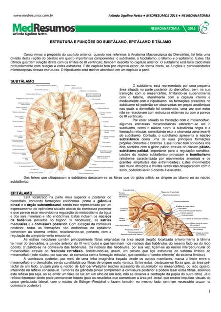 Resumo De Telencéfalo Neuroanatomia Resumos Neuroanatomia