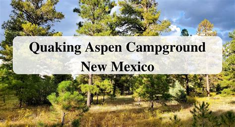 Quaking Aspen Campground New Mexico Forever Sabbatical