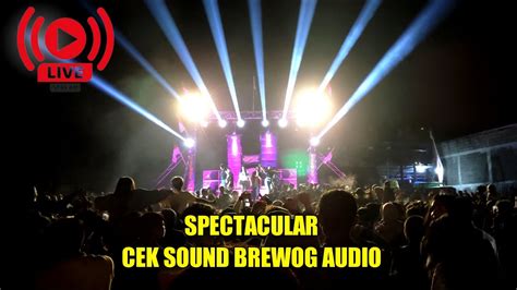 LIVE SPECTACULAR CEK SOUND BREWOG AUDIO YouTube