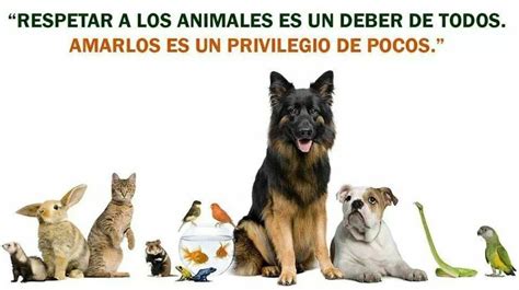 Imágenes de respeto por los animales