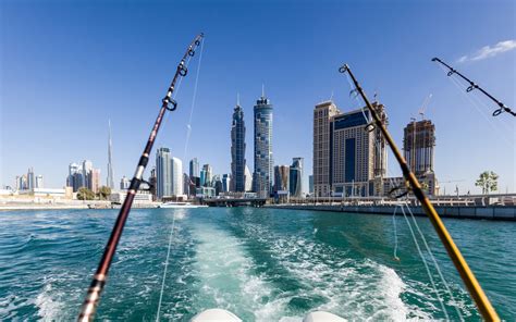 Fishing In Dubai Guide Best Spots Seasons License More Mybayut