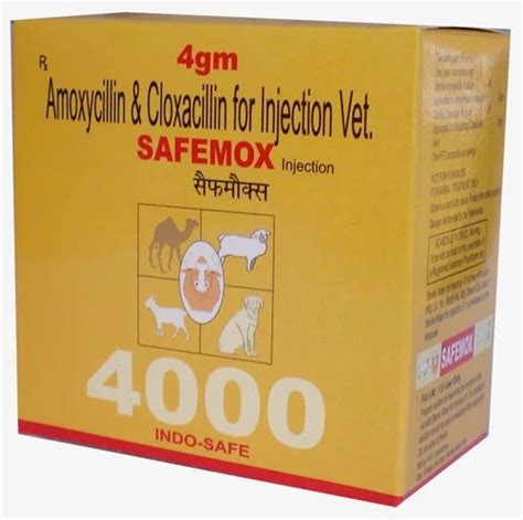 4gm Amoxacillin Cloxacillin SafeMox Injection At Rs 88 Mansarowar