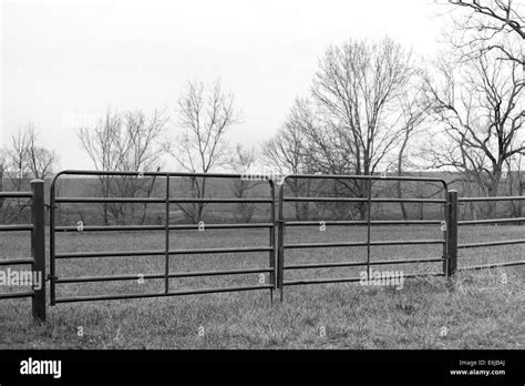 Farm pasture metal fence gate in black and white Stock Photo: 72933466 ...