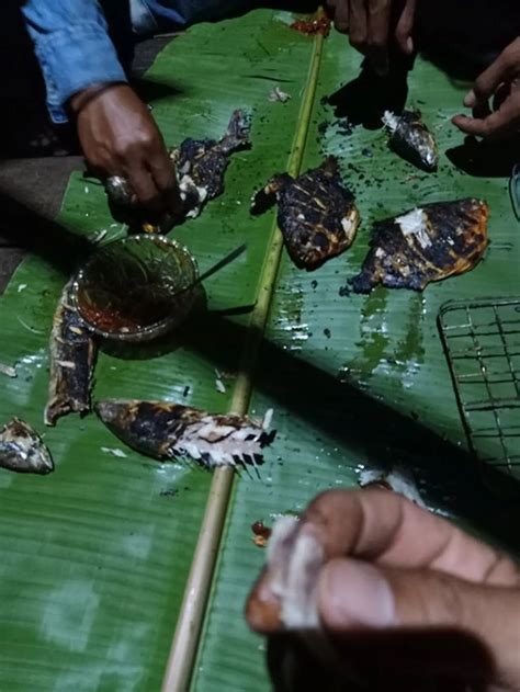 6 Momen Apes Masak Ikan Sampai Gosong Ini Bikin Kecewa Hot Liputan6