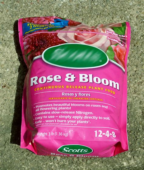 How To Fertilize Your Roses Rose Fertilizer Organic Fertilizer