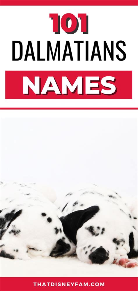 What Are The 101 Dalmatians Names? - That Disney Fam