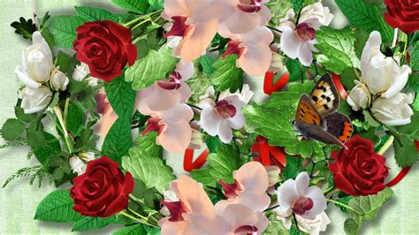 Roses Butterflies wallpaper | nature and landscape | Wallpaper Better