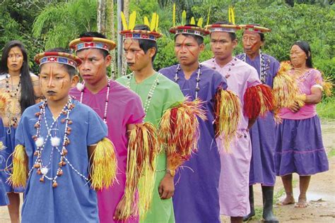 A Riqueza Etnocultural Dos Ind Genas Amaz Nicos Consolata Am Rica