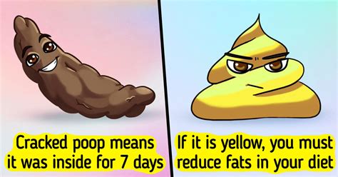 11 Things Poop Is Trying To Tell Us About Our Health Bright Side