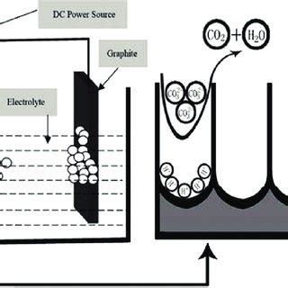 Fe Sem Top View Images Of Porous Titanium Oxide Films Anodized In